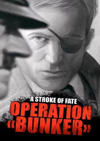 Pochette A Stroke of Fate : Operation Bunker version PC Windows
