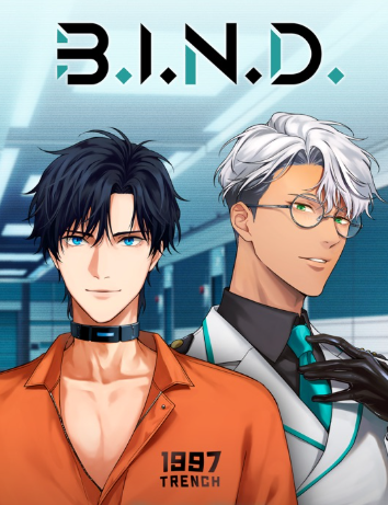 Pochette B.I.N.D. version PC Windows
