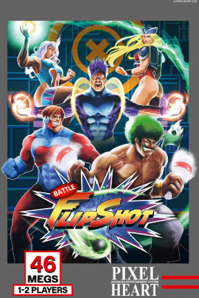 Pochette Battle Flip Shot version Neo Geo