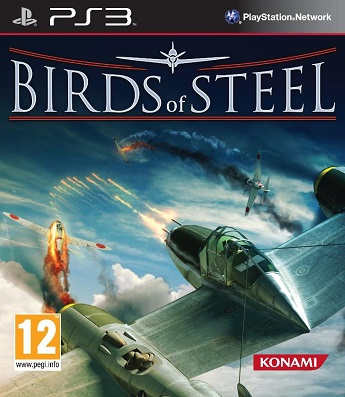 Pochette Birds of Steel version PlayStation 3