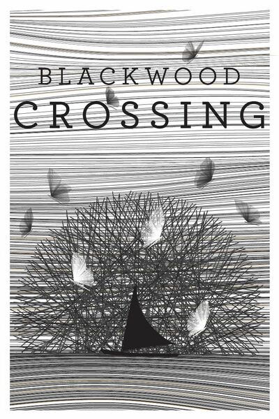 Pochette Blackwood Crossing version PC Windows