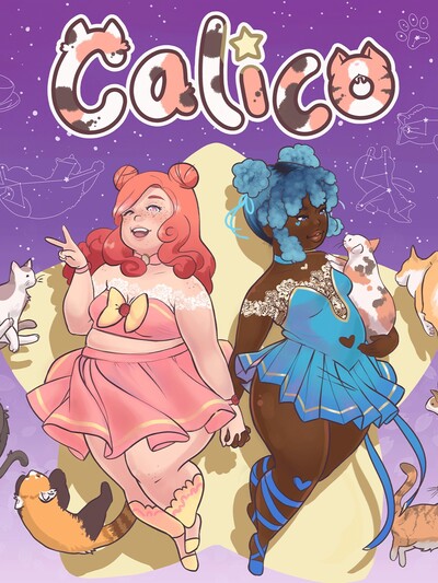 Pochette Calico version Switch