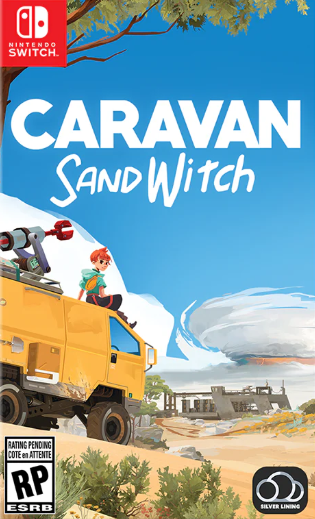 Pochette Caravan SandWitch version Switch