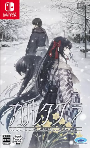 Pochette CARTAGRA : The Sickness of Possessory and Crazy version Switch