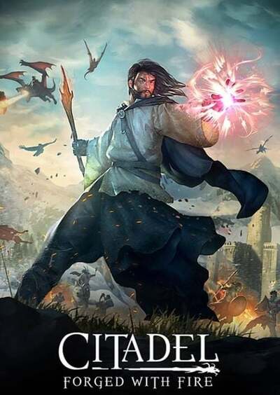 Pochette Citadel : Forged with Fire version PC Windows