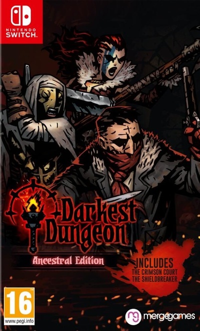 Pochette Darkest Dungeon version Switch
