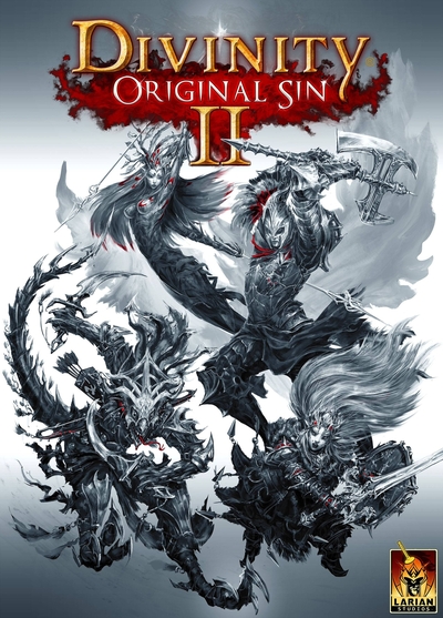 Pochette Divinity : Original Sin II version PC Windows