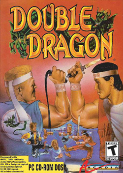 Pochette Double Dragon version PC Windows