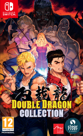 Pochette Double Dragon Collection version Switch