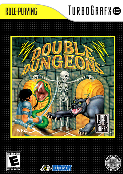 Pochette Double Dungeons version Wii
