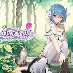 Pochette Dusk Pub version PC Windows