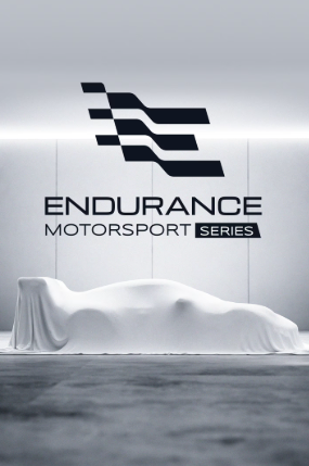 Pochette Endurance Motorsport Series version PC Windows