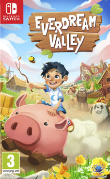 Pochette Everdream Valley version Switch