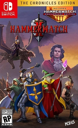 Pochette Hammerwatch II version Switch