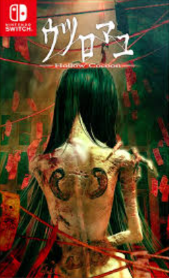 Pochette Hollow Cocoon version Switch