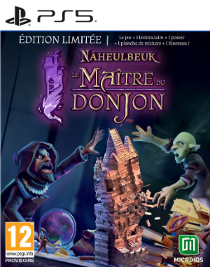 Pochette Le Maître du Donjon de Naheulbeuk version PlayStation 5