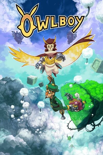 Pochette Owlboy version PC Windows