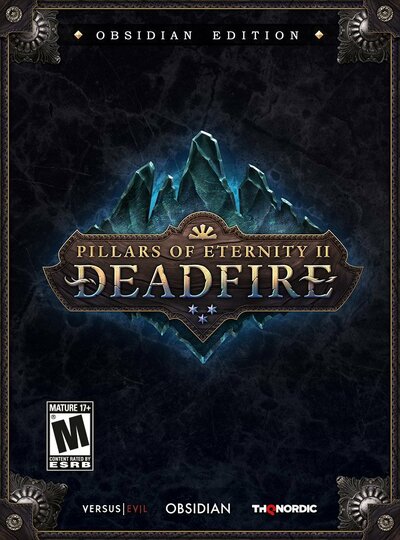 Pochette Pillars of Eternity 2 : Deadfire version PC Windows