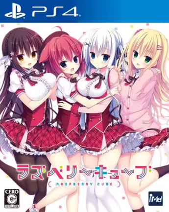 Pochette Raspberry Cube version PlayStation 4