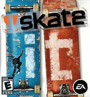 Pochette Skate It version iOS