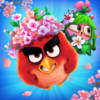 Pochette Angry Birds Match 3