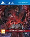Pochette Anima : Gate of Memories - The Nameless Chronicles