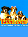 Pochette Beethoven : The Ultimate Canine Caper