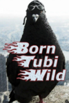 Pochette Born Tubi Wild