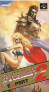 Pochette Brandish 2 Expert