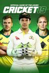Pochette Cricket 19