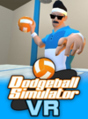 Pochette Dodgeball Simulator VR