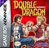 Pochette Double Dragon Advance