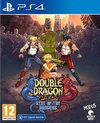 Pochette Double Dragon Gaiden : Rise Of The Dragons