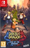 Pochette Double Dragon Gaiden : Rise Of The Dragons