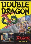Pochette Double Dragon V : The Shadow Falls