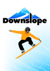 Pochette Downslope
