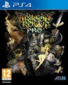 Pochette Dragon's Crown Pro