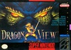 Pochette Dragon View