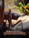Pochette Empires of the Undergrowth