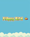 Pochette Flappy Bird