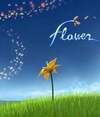 Pochette flOwer