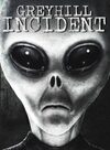 Pochette Greyhill Incident