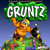 Pochette Gruntz