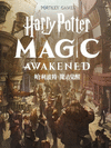 Pochette Harry Potter : La Magie Émerge