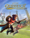 Pochette Harry Potter : Quidditch Champions