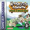 Pochette Harvest Moon : Friends of Mineral Town