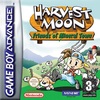 Pochette Harvest Moon : More Friends of Mineral Town