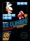 Pochette Ice Climber