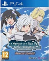 Pochette Is It Wrong to Try to Pick Up Girls in a Dungeon? Familia Myth Infinite Combate