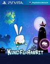 Pochette Kung Fu Rabbit